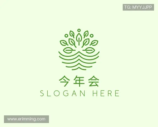 了解今年会